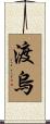 渡烏 Scroll