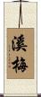 溪梅 Scroll