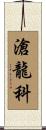 滄龍科 Scroll