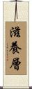 滋養層 Scroll
