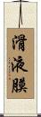 滑液膜 Scroll