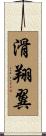 滑翔翼 Scroll