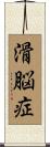滑脳症 Scroll