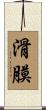 滑膜 Scroll