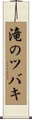 滝のツバキ Scroll