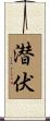 潜伏 Scroll