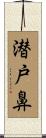 潜戸鼻 Scroll