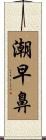潮早鼻 Scroll