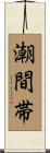 潮間帯 Scroll
