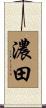 濃田 Scroll