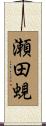 瀬田蜆 Scroll