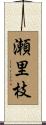 瀬里枝 Scroll