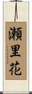 瀬里花 Scroll