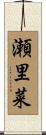 瀬里菜 Scroll