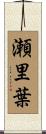 瀬里葉 Scroll