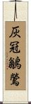 灰冠鶲鶯 Scroll