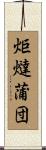 炬燵蒲団 Scroll