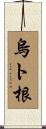 烏ト根 Scroll