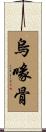 烏喙骨 Scroll