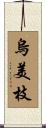 烏美枝 Scroll