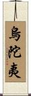 烏陀夷 Scroll