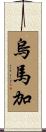 Umaga Scroll