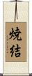 焼結 Scroll