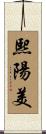 熙陽美 Scroll