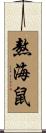 熬海鼠 Scroll