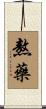 熬藥 Scroll