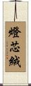 燈芯絨 Scroll