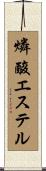 燐酸エステル Scroll