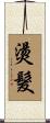 燙髮 Scroll