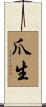 爪生 Scroll