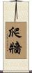 爬牆 Scroll