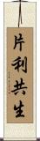 片利共生 Scroll