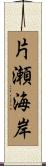 片瀬海岸 Scroll
