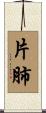片肺 Scroll
