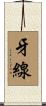 牙線 Scroll