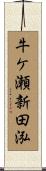 牛ケ瀬新田泓 Scroll