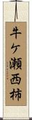 牛ケ瀬西柿 Scroll