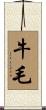 牛毛 Scroll