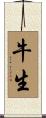 牛生 Scroll