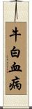 牛白血病 Scroll