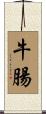 牛腸 Scroll
