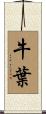 牛葉 Scroll