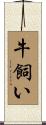 牛飼い Scroll
