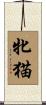 牝猫 Scroll