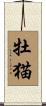 牡猫 Scroll