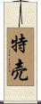 特売 Scroll